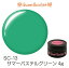 【日本製】SweetSunshineカラージェル [ SC-13 サマーパステルグリーン 4g マット ] サンシャインベビー プロが愛用する高品質のジェルネイル