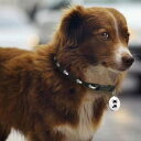 猫 GPS トラッカー、猫犬用 GPS 首輪、脱走防止、紛失防止 GPS、リアルタイム位置、猫と犬の GPS ロケーター