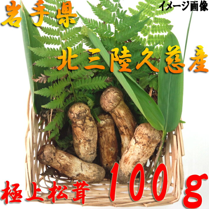 国産松茸（まつたけ）極上松茸（マツタケ）【つぼみ】【岩手 北三陸 久慈産 まつたけ】100g　2〜6本【生鮮品】【土瓶蒸し】【松茸ご飯】【格安】☆期間限定値下げ中☆ 02P12Oct15【RCP】fs04gm