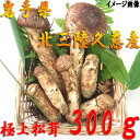 【予約販売】松茸 国産(まつたけ)極上松茸(マツタケ)300g つぼみ・開きミックス 【岩手県産 北三陸 久慈産 】【サイズおまかせ】【松茸ご飯】【サイズ指定不...