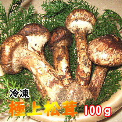 松茸国産 極上松茸（マツタケ）【岩手 北三陸 久慈産 まつたけ】100g【冷凍】【つぼみ】【松茸ご飯】