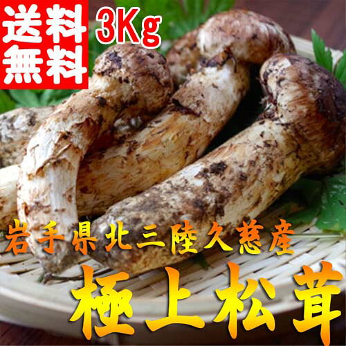 国産 極上松茸（マツタケ） 3kg 松茸 天然 【つぼみ・開きミックス】 【岩手 北三陸 久慈産 まつたけ】【松茸ご飯】【サイズ指定不可】【送料無料】
