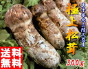 【予約販売】松茸国産(まつたけ)極上松茸 岩手 北三陸 久慈産 300g つぼみ・開きミックス【サイズおまかせ】 松茸 天然【土瓶蒸し】【松茸ご飯】【サイズ指...