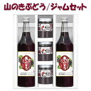 楽天お酒・宝飾のサンショップささき【岩手 山ぶどう】佐幸本店 山のきぶどう・ジャムセット【ギフト対応可】【ぶどうジュース】山葡萄ジュース【お中元】【バレンタインデー】