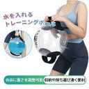 ウォーターバッグ 体幹トレーニング 最大33kg ボール 透明 取っ手付き トレーニング 体幹 筋力 筋トレ トレーニング器具 室内 運動器具 筋トレグッズ ウエイトトレーニング 筋力トレーニング スポーツ 水を入れる 重量トレーニング フィットネス 水注入 ジム
