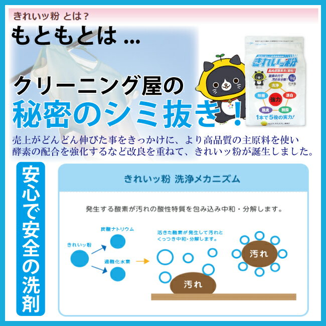 きれいッ粉1kg袋【おまけ付】きれい粉 過炭酸ナトリウム(酸素系) キッチン 台所 油汚れ 洗濯洗剤 除菌 消臭 ヤニ取り 哺乳瓶 ガンコ汚れ 柔道着 ユニフォーム 食器 エアコン掃除 食器洗剤 クリーナー 靴 スニーカー 泥汚れ ポール TV紹介