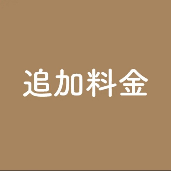 追加料金など