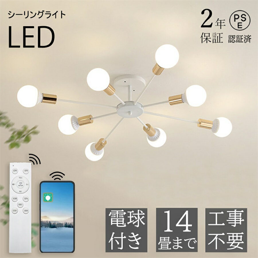 2ǯݾڡۥ󥰥饤 LED 6 8 μ  ץ ӥ 10 6 8 10 12 14 16 ̲...