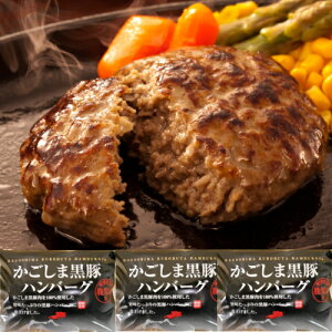 送料無料 鹿児島 黒豚 ハンバーグ （100g×2個入×3パック）お取り寄せ グルメ 帰省 土産 鹿児島 黒豚 ハンバーグ お中元 ギフト 冷凍 おかず 惣菜 仕送り お弁当 ギフト 便利な 小分け