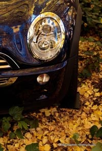 イチョウのじゅうたんと車のポストカードイチョウの黄色がボンネットに映り込んでいます【Photo 秋の彩り05】のサムネイル