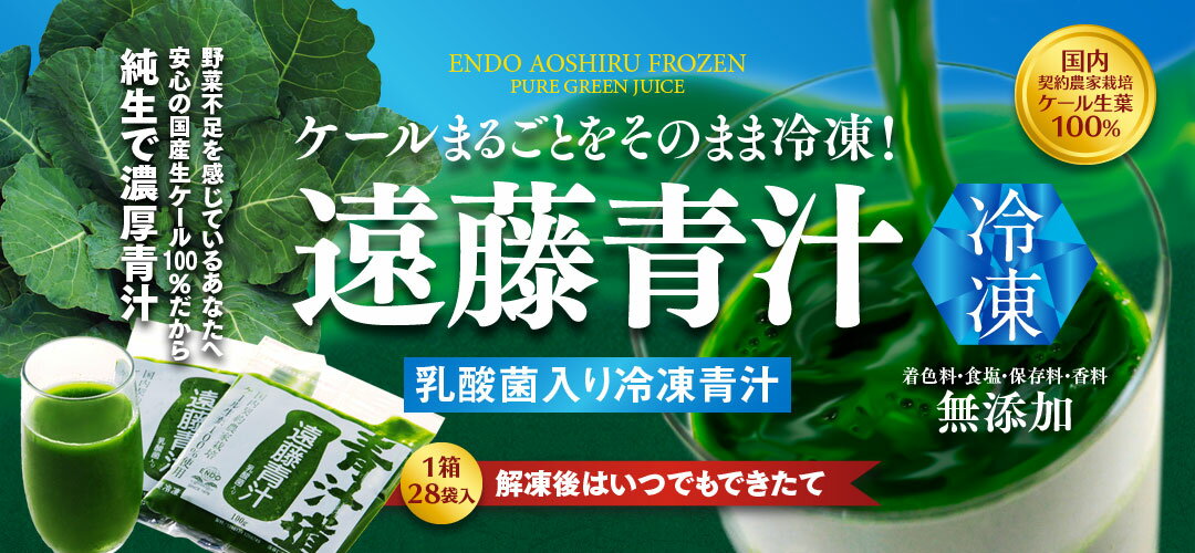 遠藤青汁 国産ケール100%冷凍青汁乳酸菌飲料 1箱（100gx28袋）