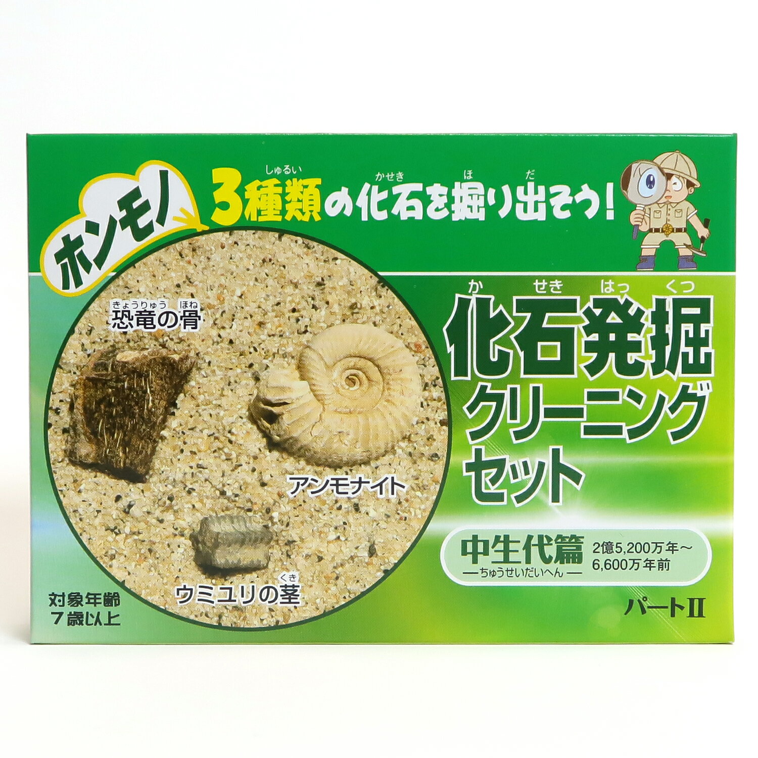 さぁ化石発掘体験！化石発掘クリーニングセット パート2【中生代編】アンモナイト・恐竜の骨・ウミユリ..