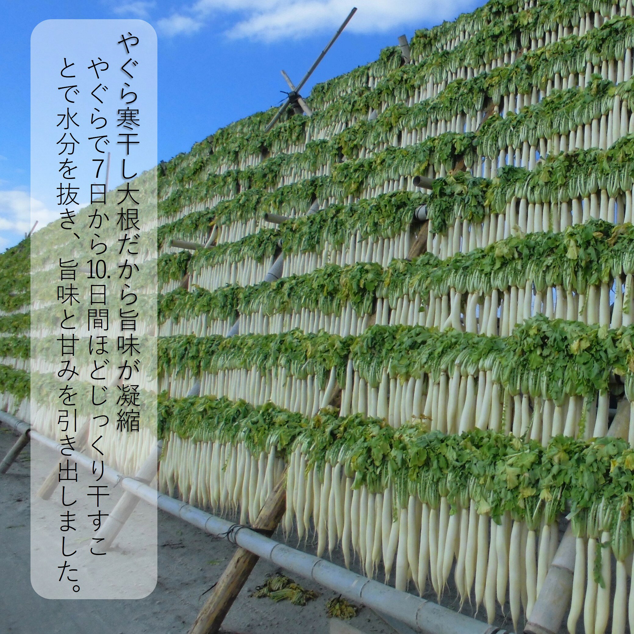 【極 山川漬 黒（80g）1個～5個選べる】　かめ壺仕込み　あかつき舎　送料無料 sunus-akatsukiya-10000009 サナス 公式通販 楽天市場店 サンプル画像3