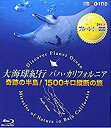 品　番 PCXE-10012 制作年、時間 2010年 102分 ジャンル その他 / 自然・ヒーリング 【あらすじ】 海洋ジャーナリスト・永田雅一が、世界各地の美しい海を紹介するBGVシリーズの「大海球紀行バハ・カリフォルニア」編。メキシコの最北に位置し、南北およそ1500kmからなるバハ・カリフォルニア半島やカリフォルニア湾の美しい風景を収録。 ※ブルーレイサイズのジャケットになります。レンタルアップ Blu-ray