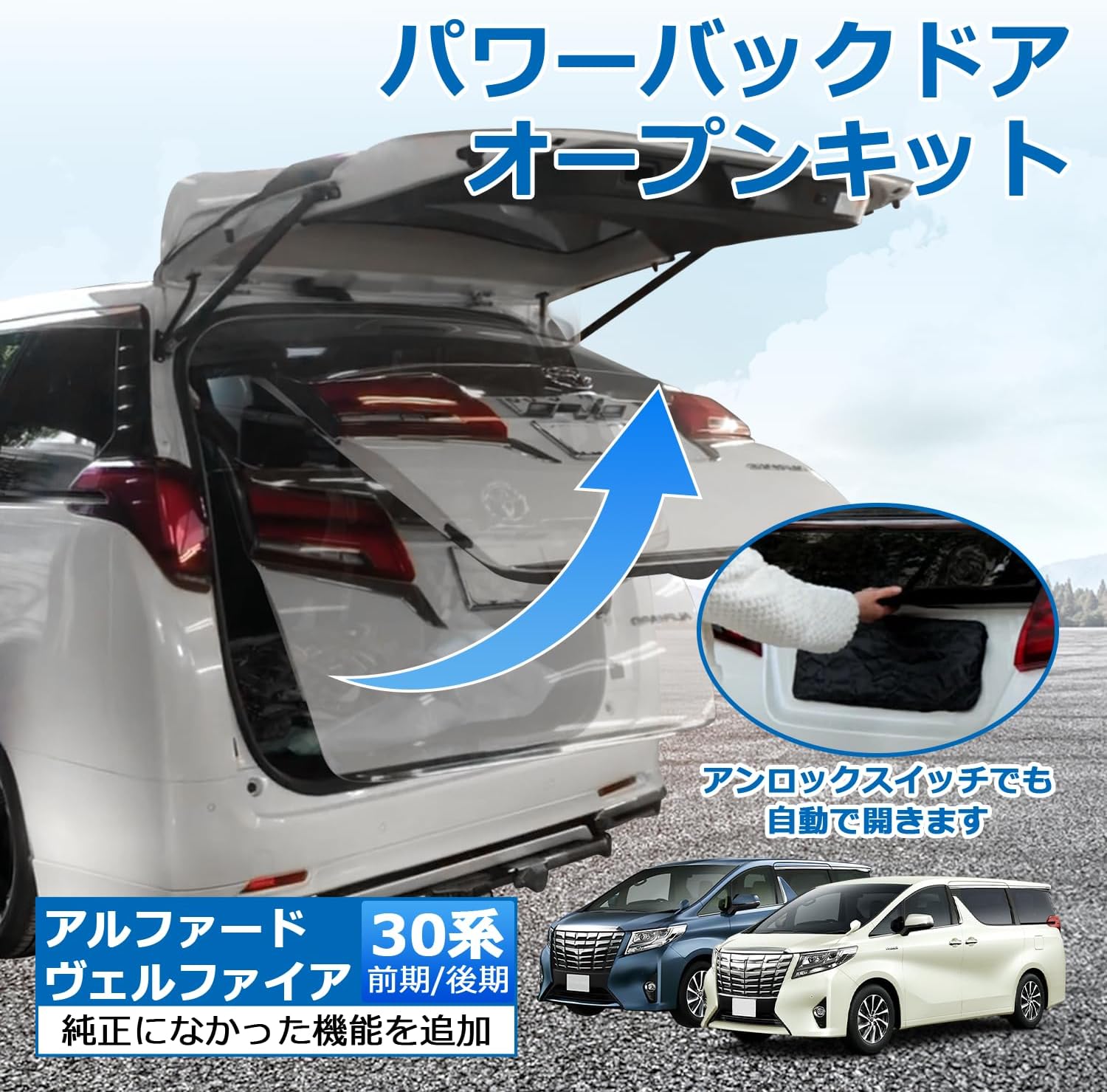 ☆希望の色で打ち替えます☆ 20系 アルファード ヴェルファイア 