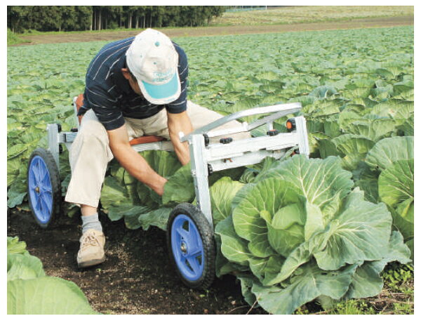 ハラックス 乗用植付け・収穫兼用作業車 ナエッコ NKH-600S