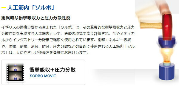 SORBO(ソルボ) インソール DSIS ソルボスパイクタフガード 中敷 61221-61225 スパイク競技全般に 中敷 【メール便利用可】バーゲン サッカー 用品 セール
