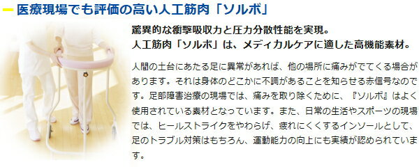 【ポイント5倍キャンペーン実施中】SORBO ソルボ インソール DSIS ソルボウォーキングエア MEN'S 中敷 61662-61664 歩きやすさと快適性を、徹底的に追求しました 3