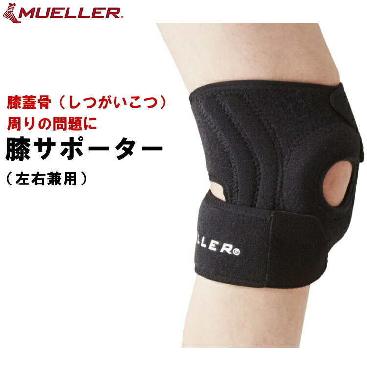 ߥ塼顼 ɨݡ ץ쥷 ˡӥ饤 Mueller ҥ 55150