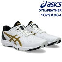 アシックス asics 卓球シューズ 1073A064 ダイナ フェザー DYNA FEATHER 101 2E相当 ユニセックス