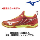 【限定カラー】ミズノ 卓球シューズ ウエーブドライブ NEO (WAVE DRIVE NEO) 2E相当 81GA1800 mizuno