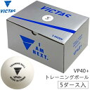 VICTAS ヴィクタス 卓球ボール VP40+ トレーニングボール 5ダース入(60球) 練習球 015500