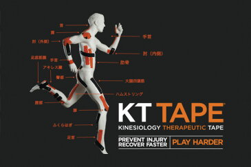 KT TAPE ロールタイプ 15枚入り ケーティーテープ KTテープ KTR1995 テーピング キネシオロジー スポーツ