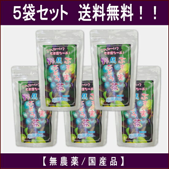 【 馬ぶどう茶 】5袋セット（ぶすの実茶・野ぶどう茶） 4g×20包ティーバック入り　「（有）やないづ食品」（無農薬国産品）