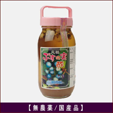 【ぶすの実 酢】（馬ぶどう 酢漬け・野ぶどう 酢漬け） 800ml瓶詰め　「（有）やないづ食品」（無農薬国産品）【ネコポス便・メール便不可】【10P03Dec16】