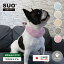 SUO(R) 公式 2025年新商品 Made ln Japan 特許取得済 SUO ICE SUO WBAND for Dogs 3時間持続 ダブル冷..