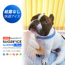 【Suo 公式ストア】日本国内 特許取得済 熱中症から愛犬を守ります 28°ICE ネック用 