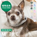 【SUO(R) 公式】日本国内 特許取得済 SUO for dogs28℃ ICE COOL RING (ボタン付き) M スオ 28度 アイス クール リング クール バント 植物由来 ネック用 クール ネック 首掛け ICE RING(R) 熱中症予防 室内 ペット 犬 無くし防止 暑さ対策 クールリング