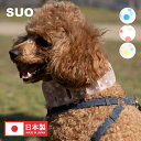 【SUO(R) 公式】【4千円以上購入&レビューで保冷巾着袋プレゼント!】SUO(R) 正規代理店 日本製 SUO 18°ICE for dogs RAIL ...