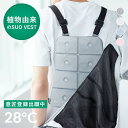 【SUO R 公式】熱中症から守ります SUO 28℃ クールベスト2 cool vest クールベスト クール アイシング 吸熱 熱中症予防 リュック リング 背中 ひんやり スポーツ観戦 出勤 自転車 アウトドア …