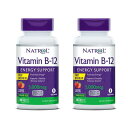 【送料無料】 2個セット ビタミンB-12 5000mcg 100粒 チュワブル ストロベリー味 ナトロール【Natrol】Vitamin B-12 5,000 mcg 100 Tablets 2set その1