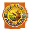 【送料無料】 バジャー オーガニックソアジョイントラブ アルニカブレンド 56 g 【Badger】 Organic Sore Joint Rub Arnica Blend 2 oz