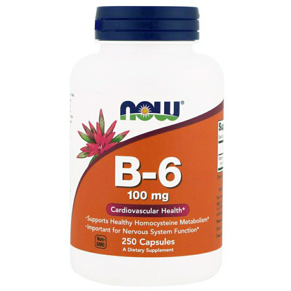 【送料無料】 ナウフーズ ビタミン B-6 100mg 250粒【Now Foods 】Vitamin B-6 100mg 250CAPS