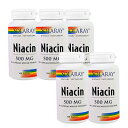 【送料無料】 ナイアシン 500mg 100粒 べジカプセル ビタミンB3 高含有 ソラレー 5個セット【SOLARAY】NIACIN 500mg 100 Veggie Caps 5set その1