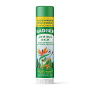 yz I[KjbN XL[g yg A`oO o[ XeBbN 17g oW[ āyBadgerzMosquito Repellent Anti-Bug Balm Stick, 0.6 oz