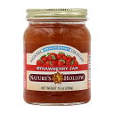 【送料無料】 ストロベリージャム ヘルススマート シュガーフリー 無糖 280g ネイチャーズホロウ【Nature's Hollow】HealthSmart Sugar Free Strawberry Jam, 10 oz