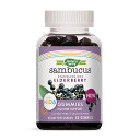  キッズサプリメント グミ エルダーベリー 60粒 グミ ネイチャーズウェイSambucus Gummies For Kids Standardized Elderberry, 60 Gummies