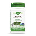  ケルプ 600mg 100粒 ベジカプセル 昆布 ネイチャーズウェイKelp 600 mg, 100 Veg Capsules