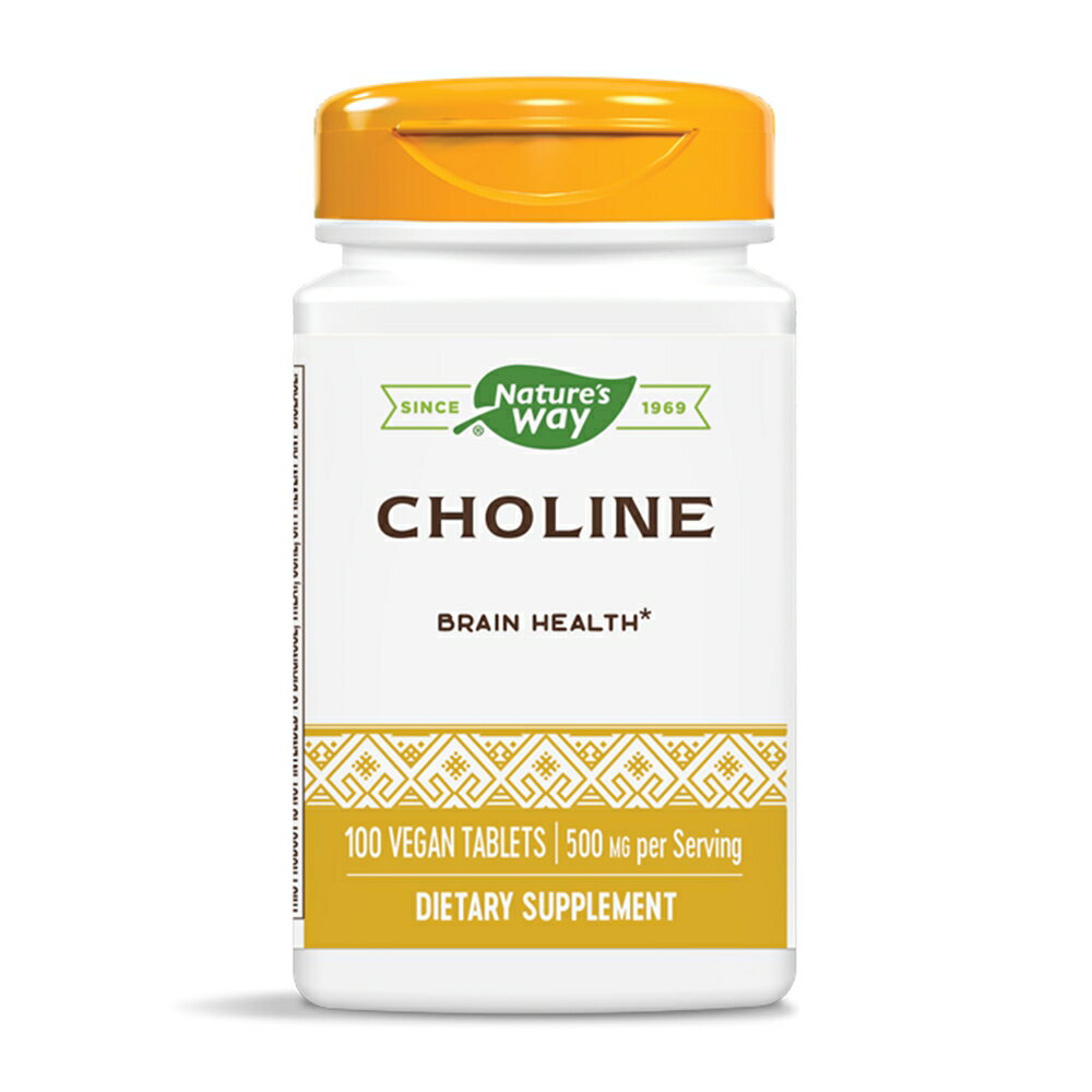 【送料無料】 コリン 500mg 100粒 ベジタブレット ネイチャーズウェイ【Nature 039 s Way】Choline 500 mg, 100 Veg Tablets
