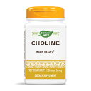 【送料無料】 コリン 500mg 100粒 ベジタブレット ネイチャーズウェイ【Nature's Way】Choline 500 mg, 100 Veg Tablets