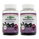  2個セット キッズサプリメント グミ エルダーベリー 60粒 グミ ネイチャーズウェイSambucus Gummies For Kids Standardized Elderberry, 60 Gummies