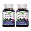 2個セット エルダーベリー 60粒 グミ ネイチャーズウェイSambucus Standardized Elderberry Gummies, 60 Gummies