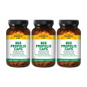 【送料無料】3個セット ビープロポリス 500mg 100粒 ベジカプセル カントリーライフ【Country Life】Bee Propolis Caps 500 mg, 100 Veg Capsules