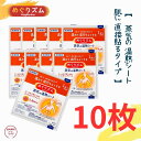 花王 めぐりズム 蒸気の温熱シート 肌に直接貼るタイプ 無香料 10枚セット【 クリックポスト発送 】 送料無料 めぐりズム 温熱シート 肩 お腹 花王 めぐリ...