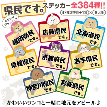 【愛媛県】県民です。わんこステッカー 2枚セット(ステッカー 雑貨 カー用品 日本製)在住 都道府県 県内在住【柴犬】【ミニチュアダックスフンド】【トイプードル】【ミニチュアシュナウザー】【ポメラニアン】【フレンチブルドッグ】【マルチーズ】【シーズー】