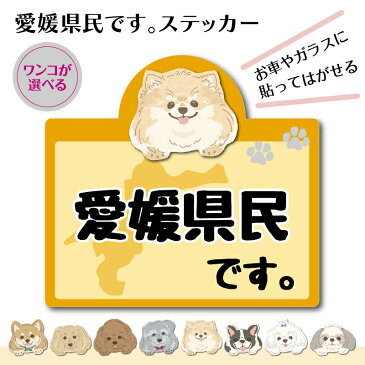 【愛媛県】県民です。わんこステッカー 2枚セット(ステッカー 雑貨 カー用品 日本製)在住 都道府県 県内在住【柴犬】【ミニチュアダックスフンド】【トイプードル】【ミニチュアシュナウザー】【ポメラニアン】【フレンチブルドッグ】【マルチーズ】【シーズー】
